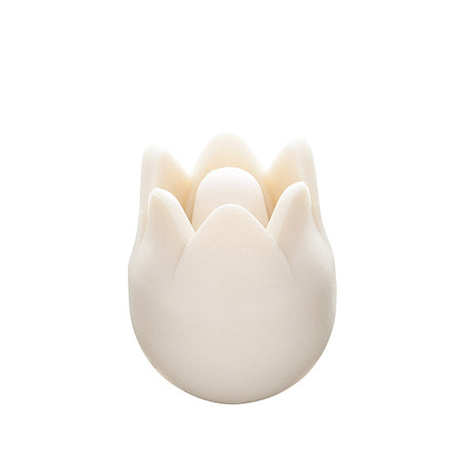 Tulip Needle Point Protectors | small and large