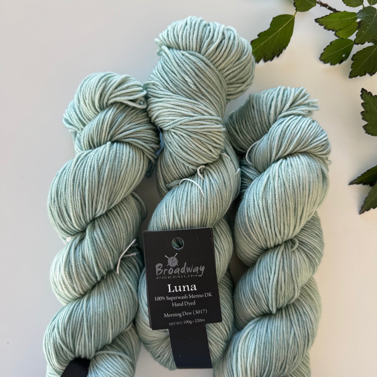 *NEW* Broadway | Luna | 100% Merino hand dyed | DK