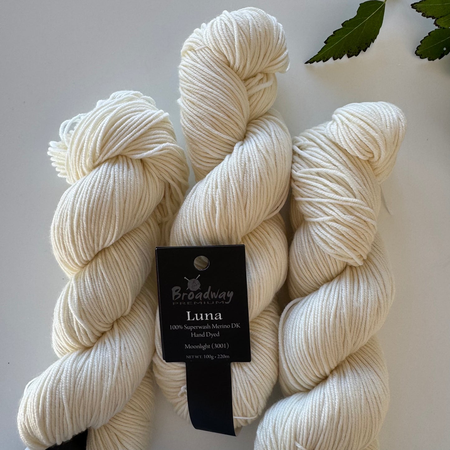 *NEW* Broadway | Luna | 100% Merino hand dyed | DK