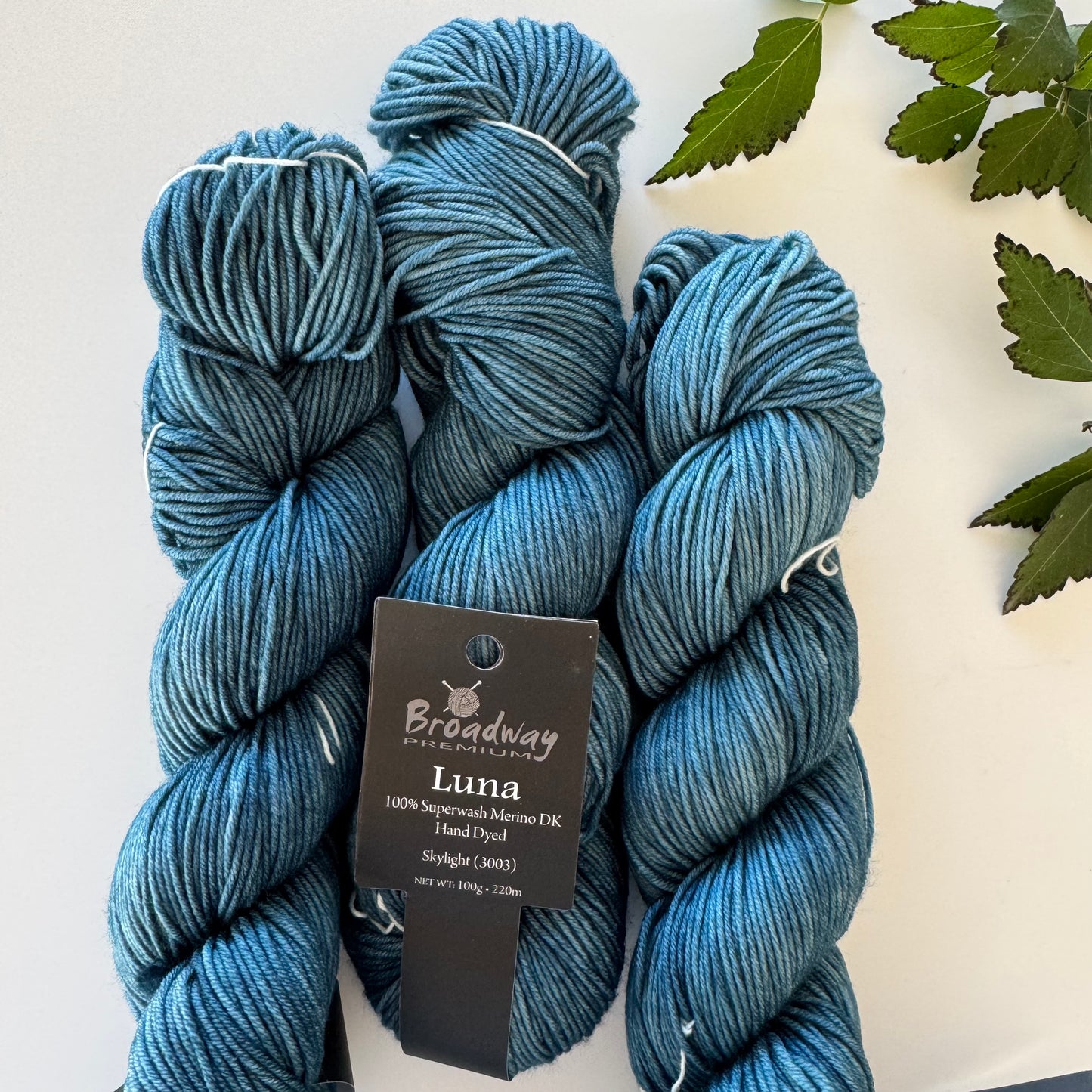 *NEW* Broadway | Luna | 100% Merino hand dyed | DK