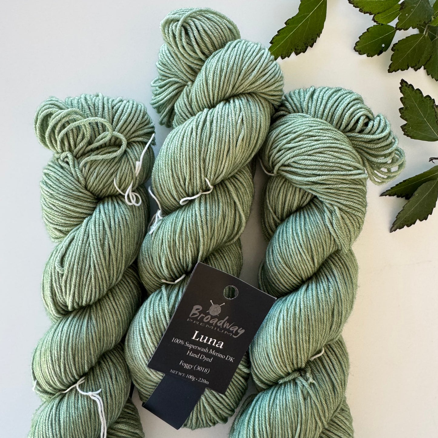 *NEW* Broadway | Luna | 100% Merino hand dyed | DK