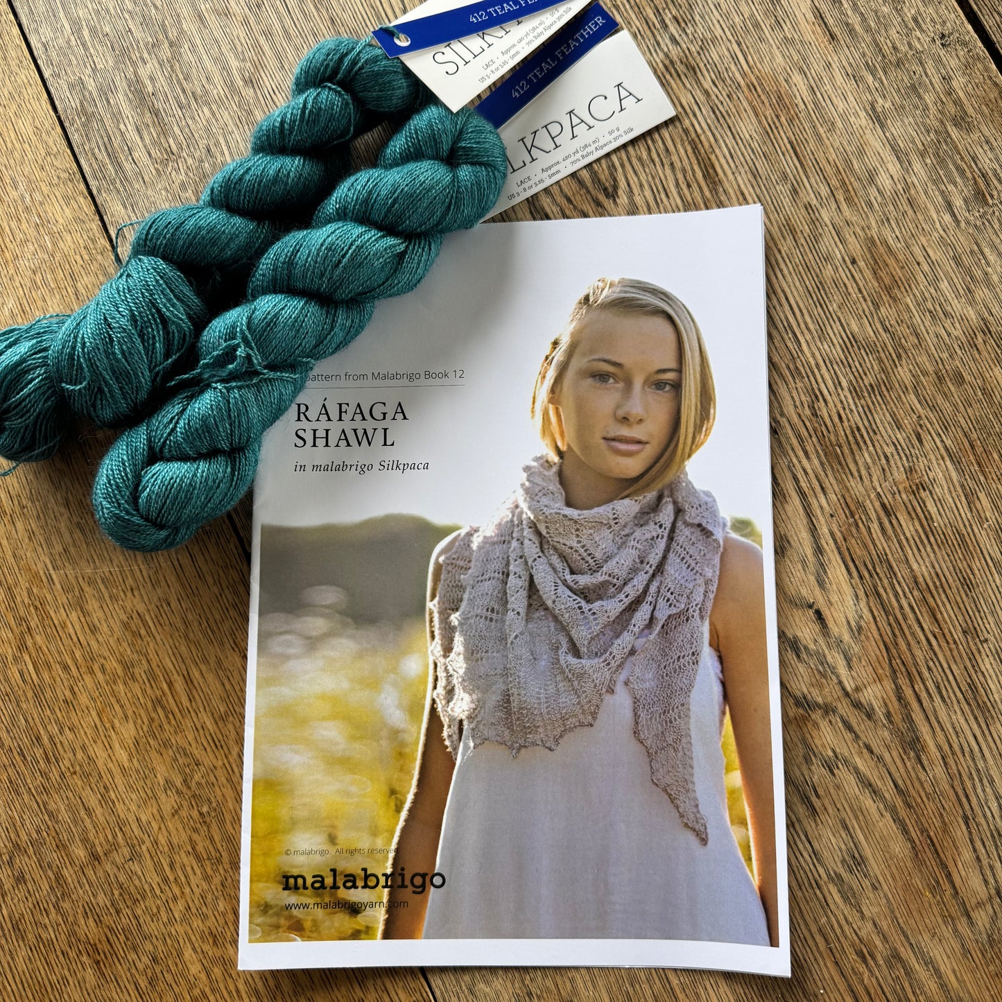 KIT | Malabrigo Silkpaca | Rafaga Shawl