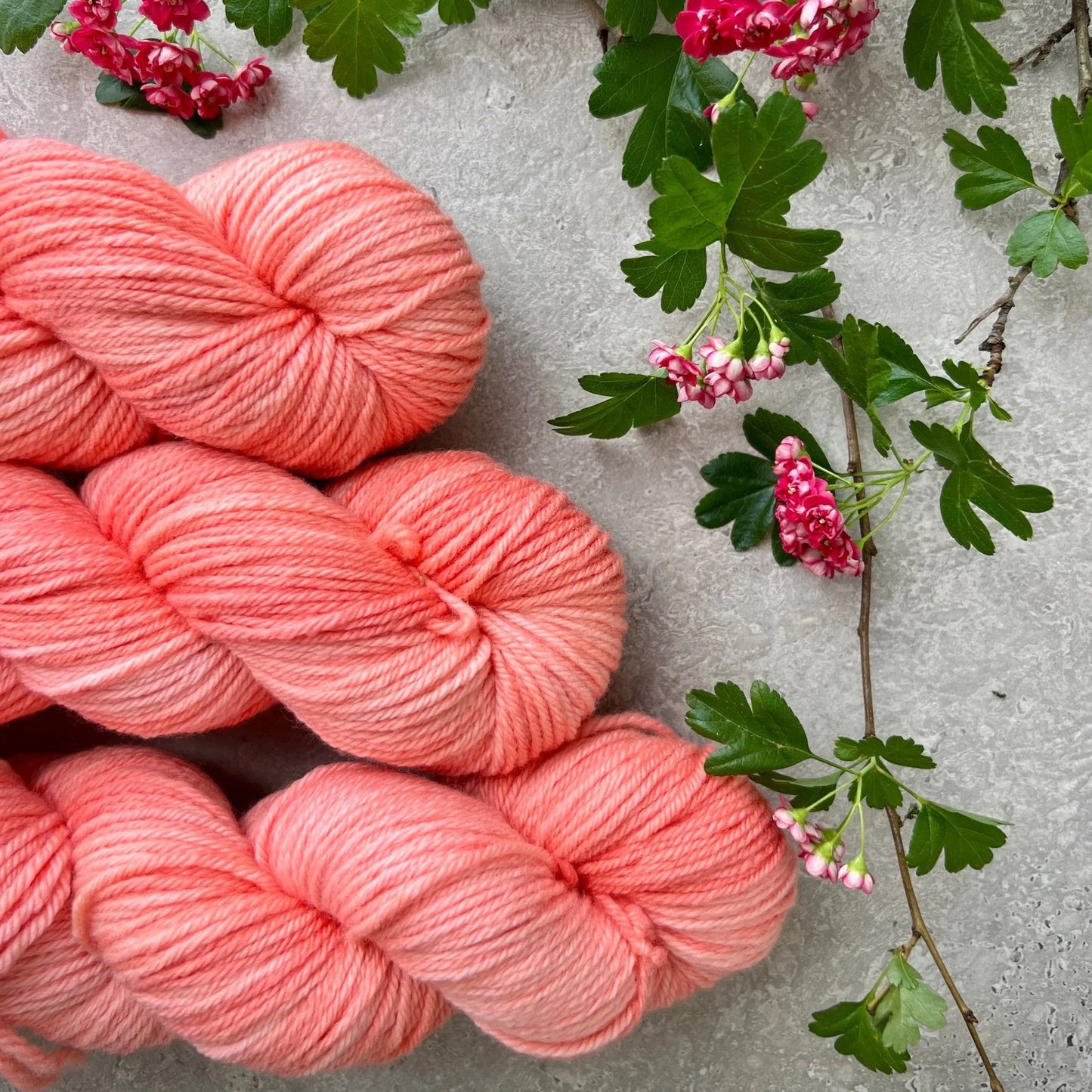 YarnPhase | Hand Dyed NZ 100% Merino | DK (8ply)